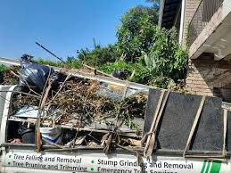 Best Carpet Removal and Disposal  in Shadeland, IN